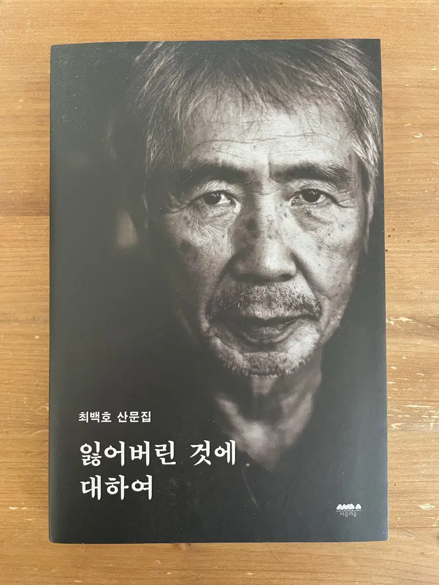 잃어버린 것에 대하여 : 최백호 산문집